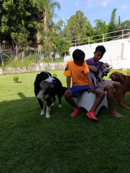 Hotel de Cães JS Pet Resort