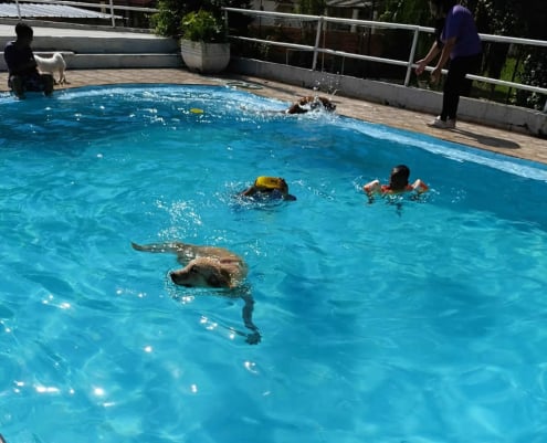 JS Hotel Resort